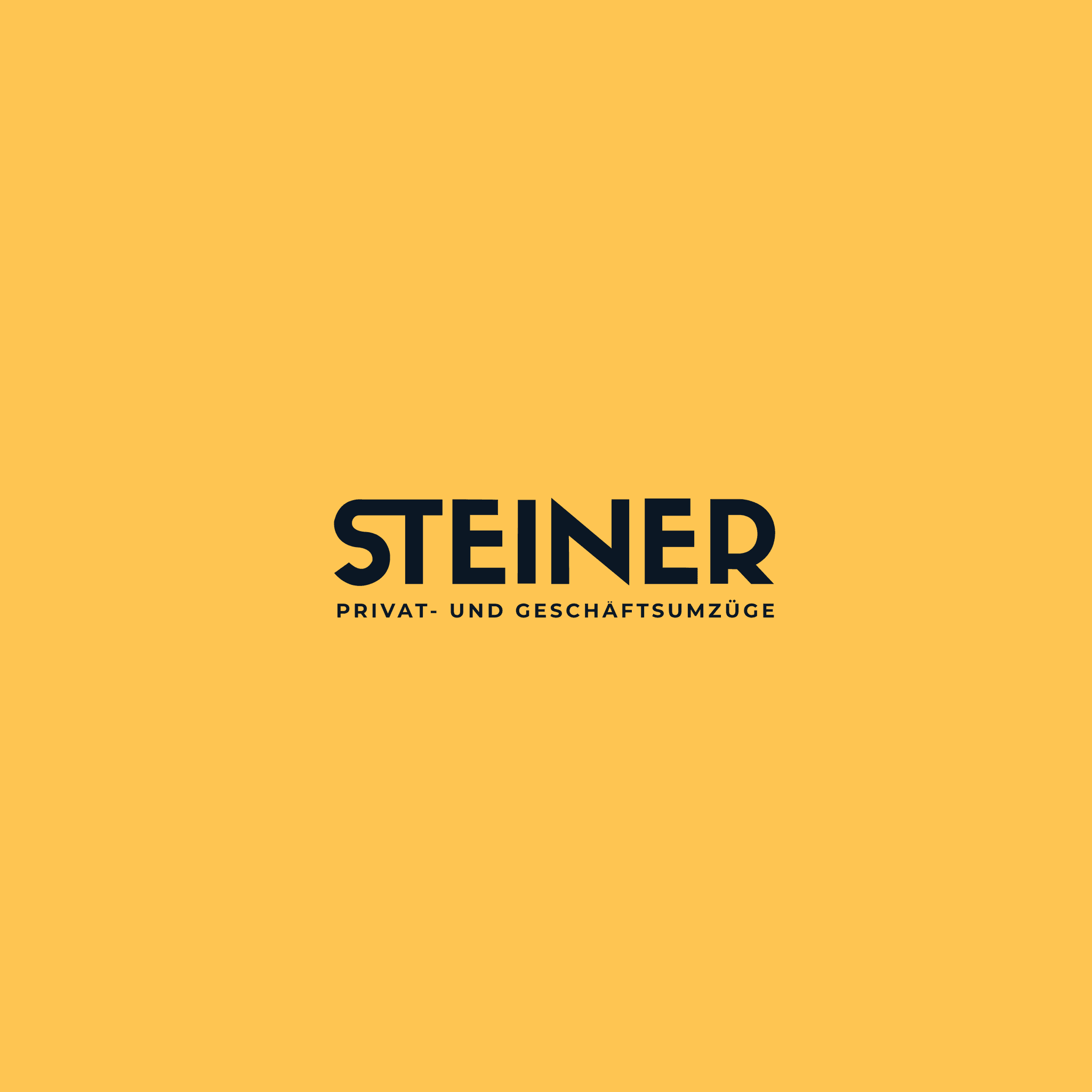 Steiner Umzug color logo