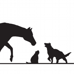 StJohns Veterinary H