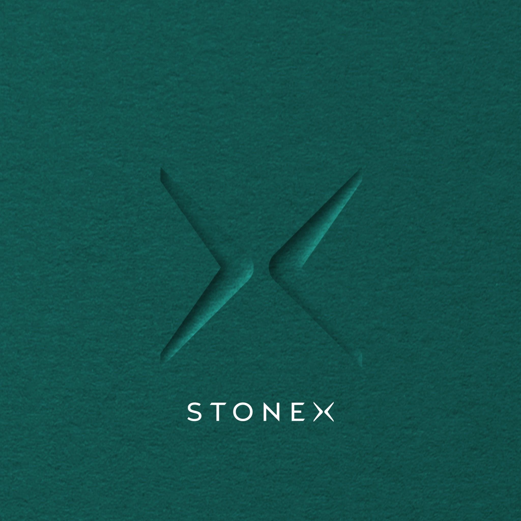Stonex India Pvt. Ltd. color logo