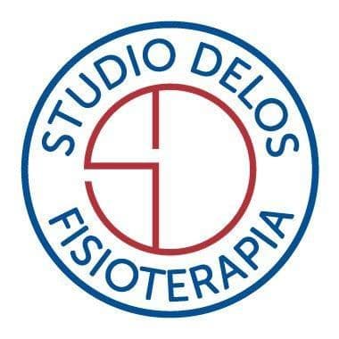 Studio Delos color logo