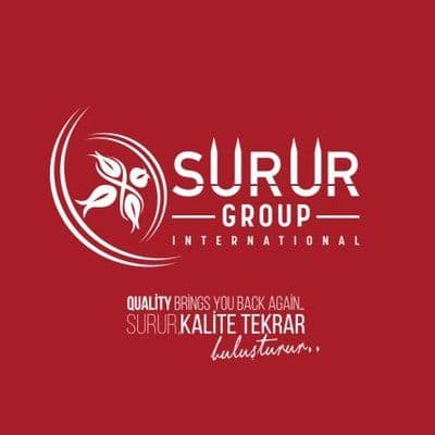 Surur Group International color logo