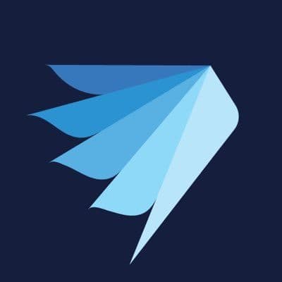 Swann Security color logo