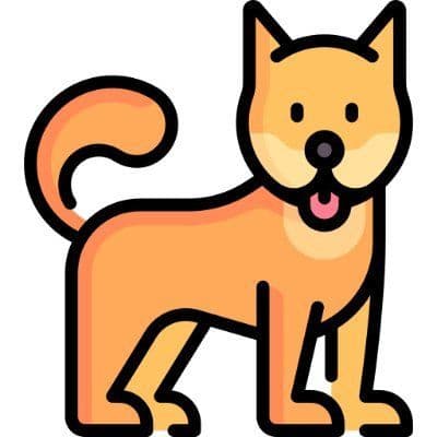 Sweeps.Pet color logo