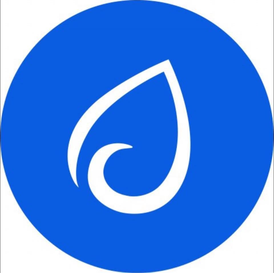 Synaptics Incorporated color logo