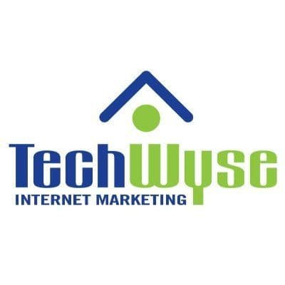 TechWyse color logo