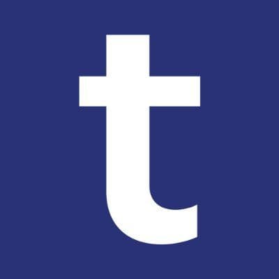 Temenos color logo