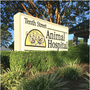 Tenth Street Animal Hospital color logo