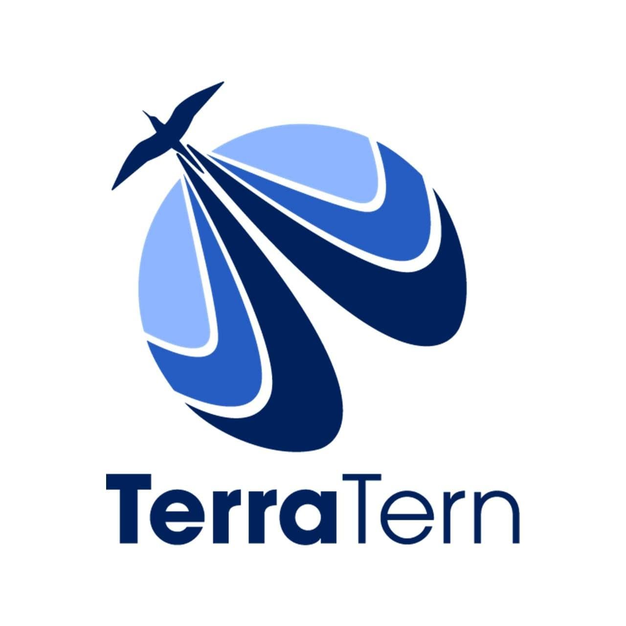 TerraTern- One Stop Solution to Global Mobility Services color logo