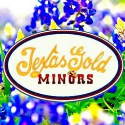 TexasGoldMinors