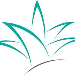 The Iidea Company