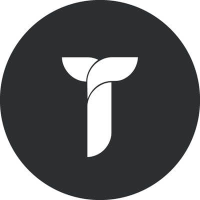 Themezly color logo