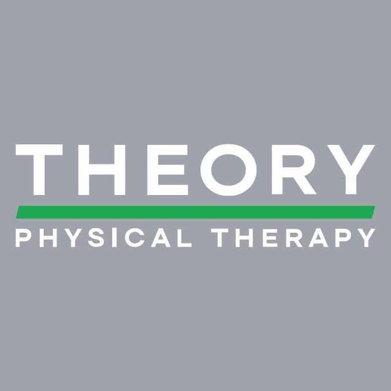 THEORY PT color logo