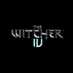 The Witcher