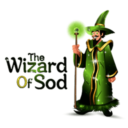 The Wizard Of Sod