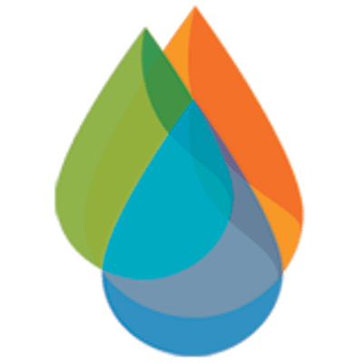 ThinNow color logo