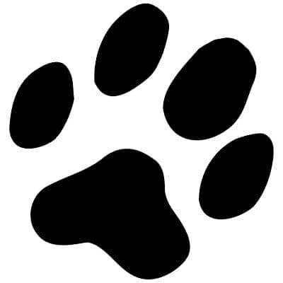 Tiervermittlung.de color logo