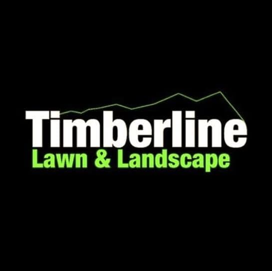 Timberline Dallas color logo