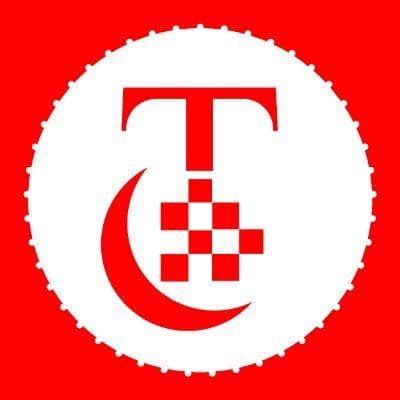 Times Consultant color logo
