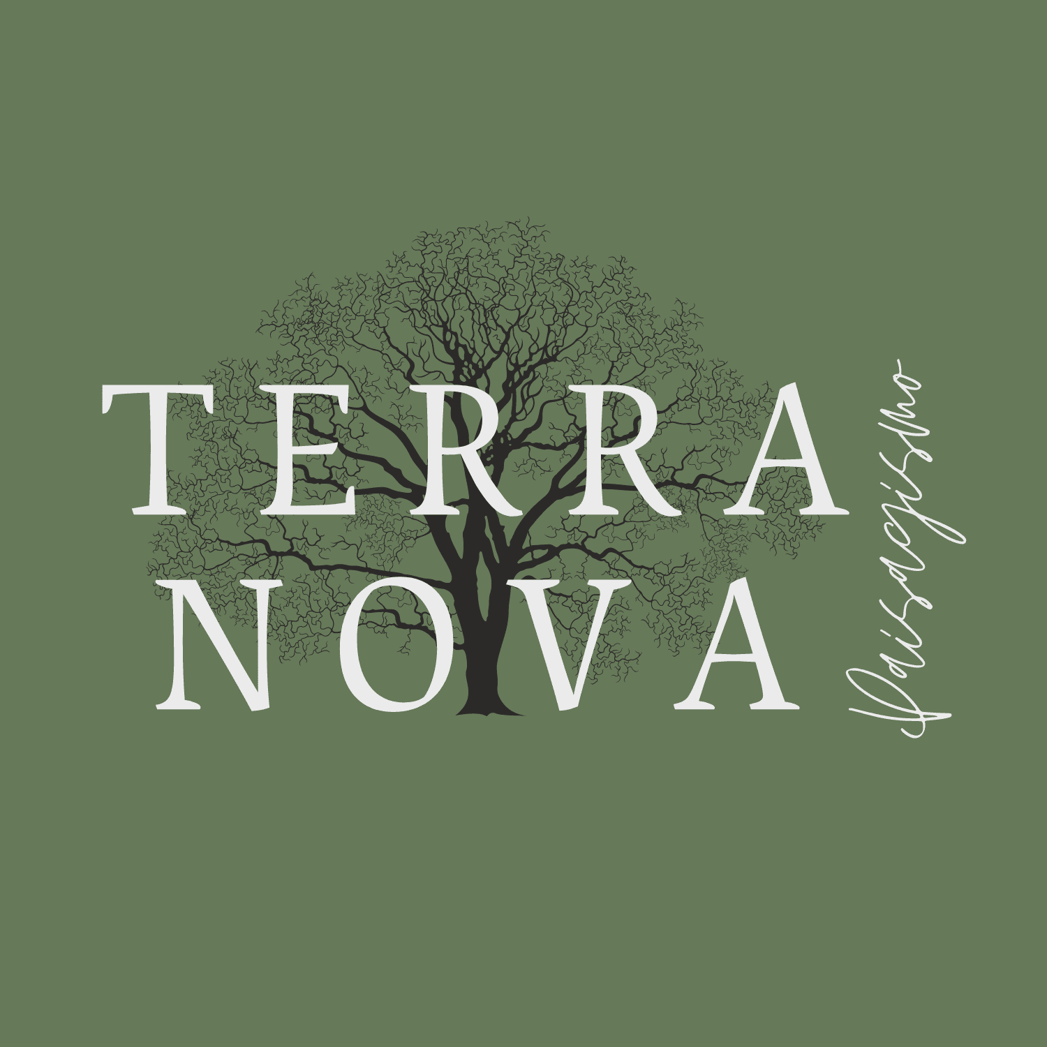 Terra Nova Paisagismo color logo