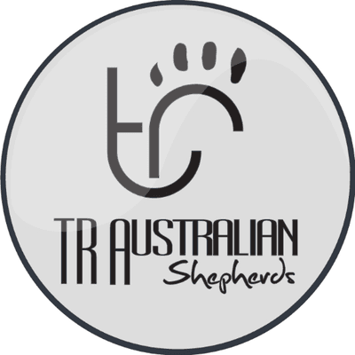T & R Aussies color logo
