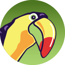 ToucanEd Inc.