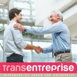 Transentreprise