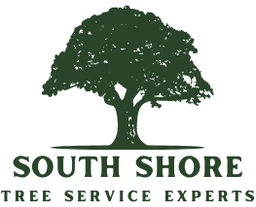 South Shore Tree Service Experts