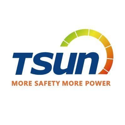 TSUNESS color logo