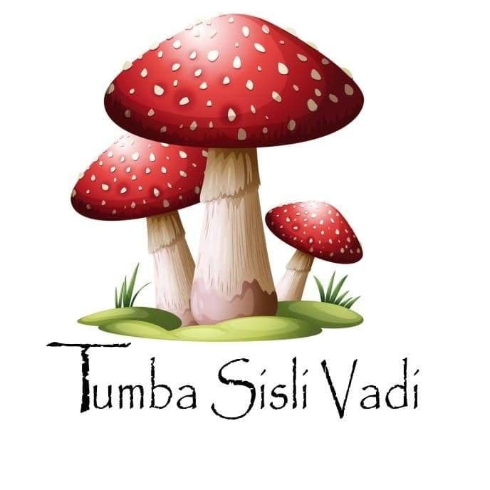 Tumba Sisli Vadi color logo