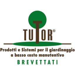 Tutor International srl