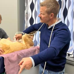 West Texas Veterinary Specialists
