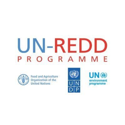 UN-REDD Programme color logo
