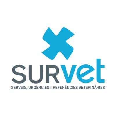 Survet Diagonal color logo