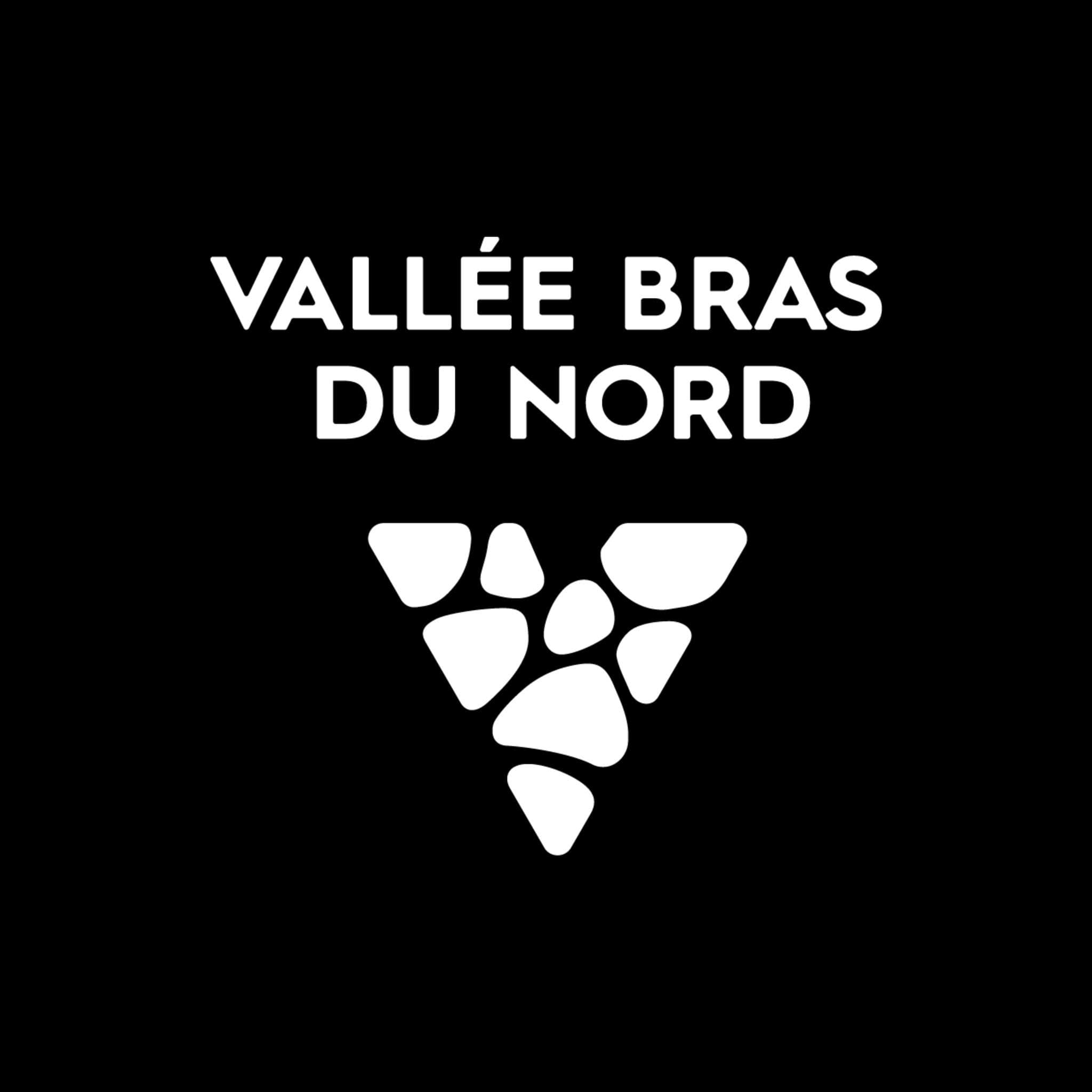 Vallée Bras-du-Nord color logo