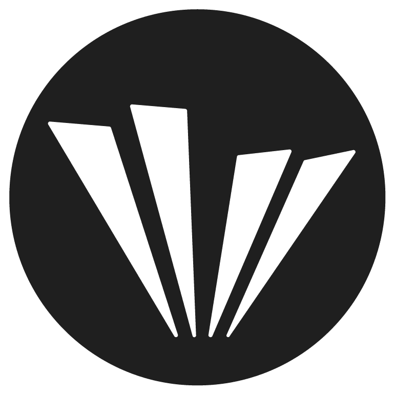 Valo Motion color logo
