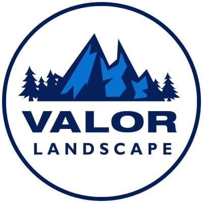 Valor Landscape color logo