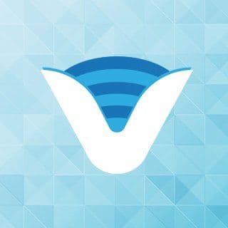 Veridyen color logo