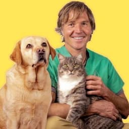 Veterinary Secrets