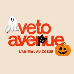 VetoAvenue
