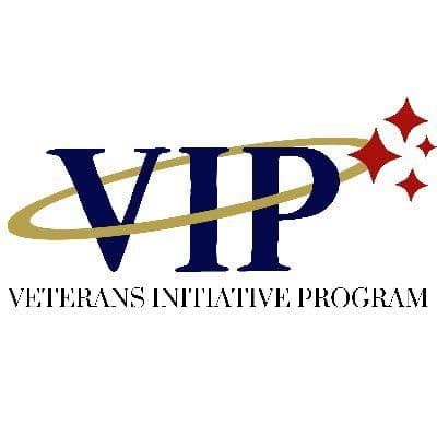 VIP Info color logo