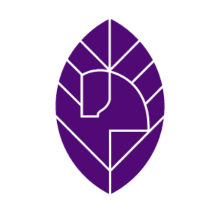 VIA NOVA EQUINE color logo