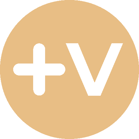 Viktilabs color logo