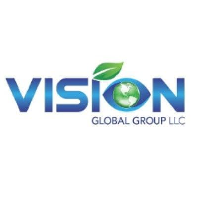 Vision Global Group color logo