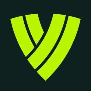 Volleyball World color logo