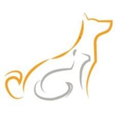 Vscsarasota color logo