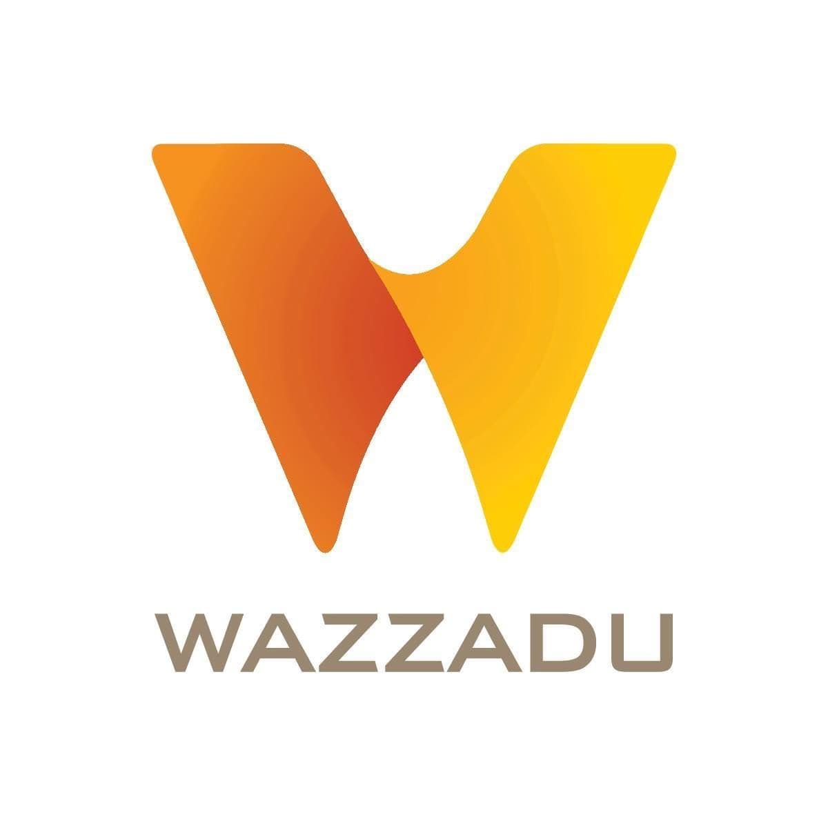 Wazzadu color logo