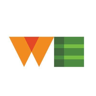 WE color logo