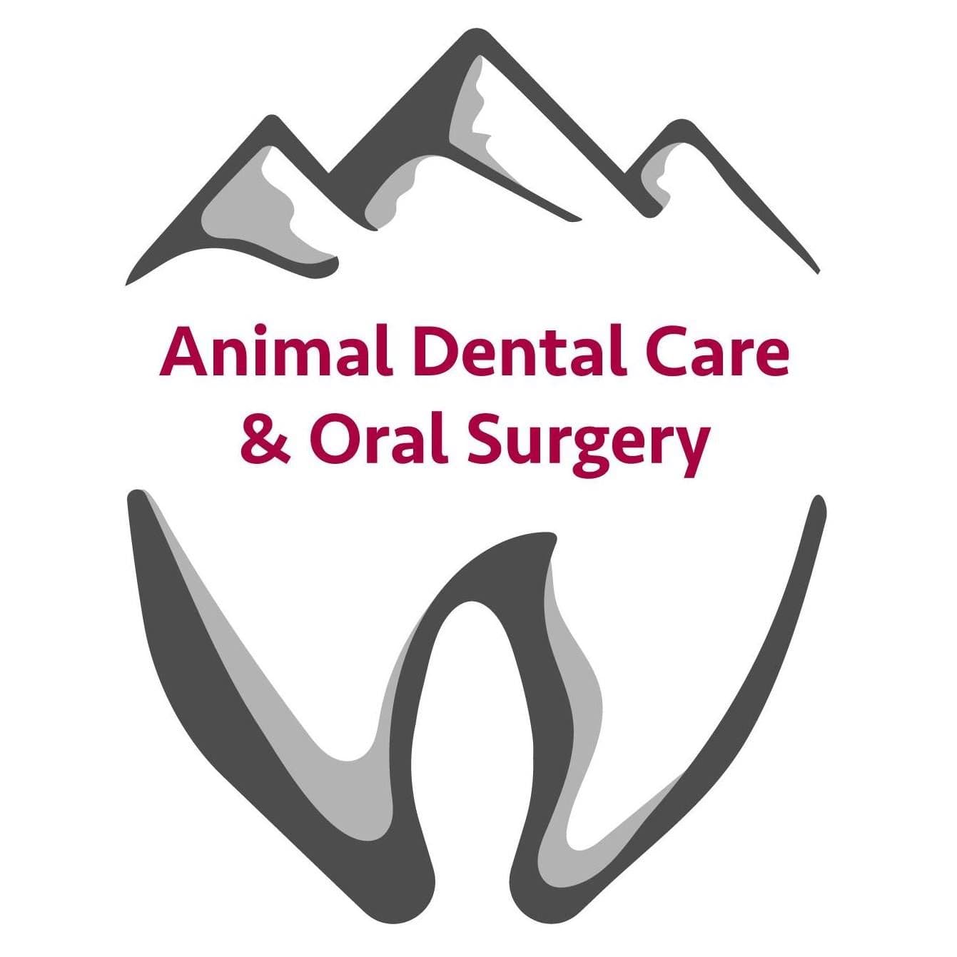 Animal Dental Care and Oral Surgery color logo