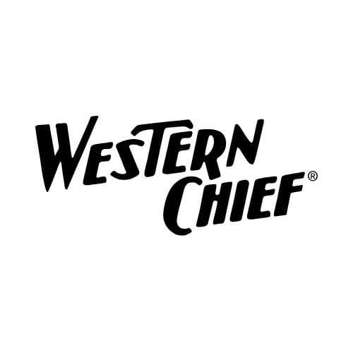 Washington Shoe Company color logo