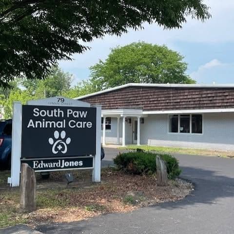 South Paw Animal Care color logo